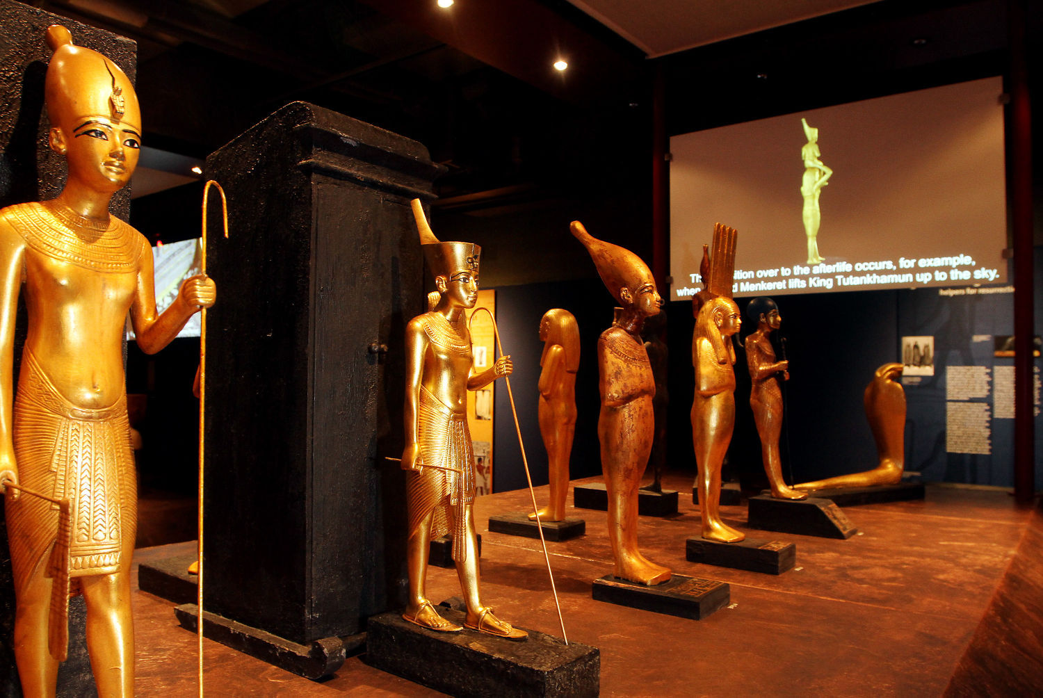 The Discovery of King Tut